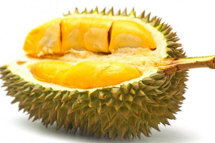 le durian