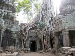 voyage cambodge - Ta prohm