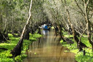 croisières Vietnam Cambodge - forêt inondée Tra Su