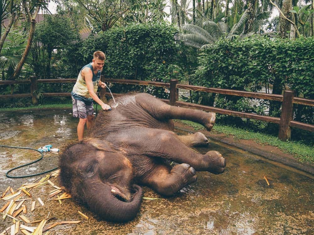 sanctuaires éléphants Thailande 
